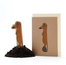 Lade das Bild in den Galerie-Viewer, Grußkarte Saatstecker 1. Geburtstag mit Pflanzensamen