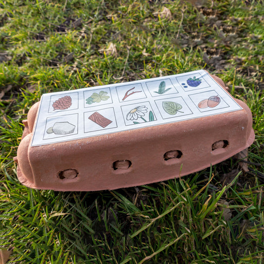 Natur Sammelbox Wald - Eierkarton Vorlage zum Ausdrucken als PDF Spielvorlagen zum Ausdrucken LillyGo