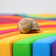 Lade das Bild in den Galerie-Viewer, Großer Vier Elemente Baukasten von Grimm's Holzspielzeug