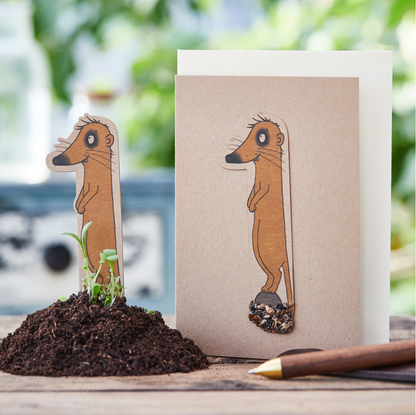 Greeting card, seed stick, 1st birthday with plant seeds
