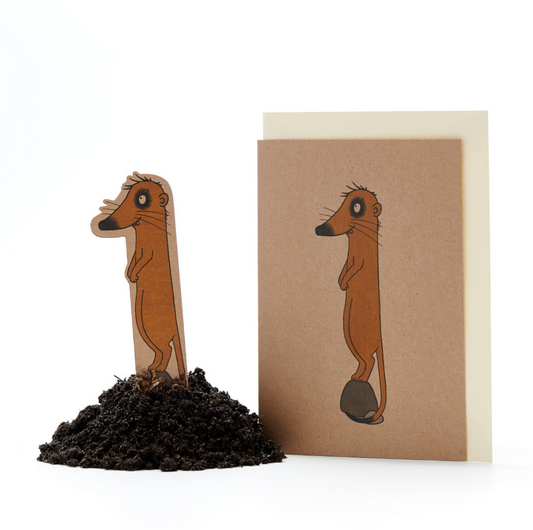 Grußkarte Saatstecker 1. Geburtstag mit Pflanzensamen