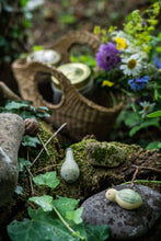 Lade das Bild in den Galerie-Viewer, Wild - Holzspielzeug Grapat Holzspielzeug Grapat 
