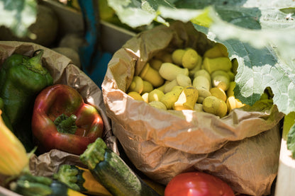 Grapat Mandala Tulpen - Holzspielzeug 36 Teile Holzspielzeug Grapat 