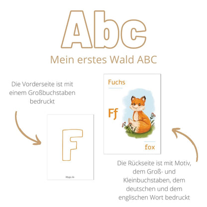 ABC Lernkarten Wald Deutsch Englisch Spiele und Bücher LILLYGO 