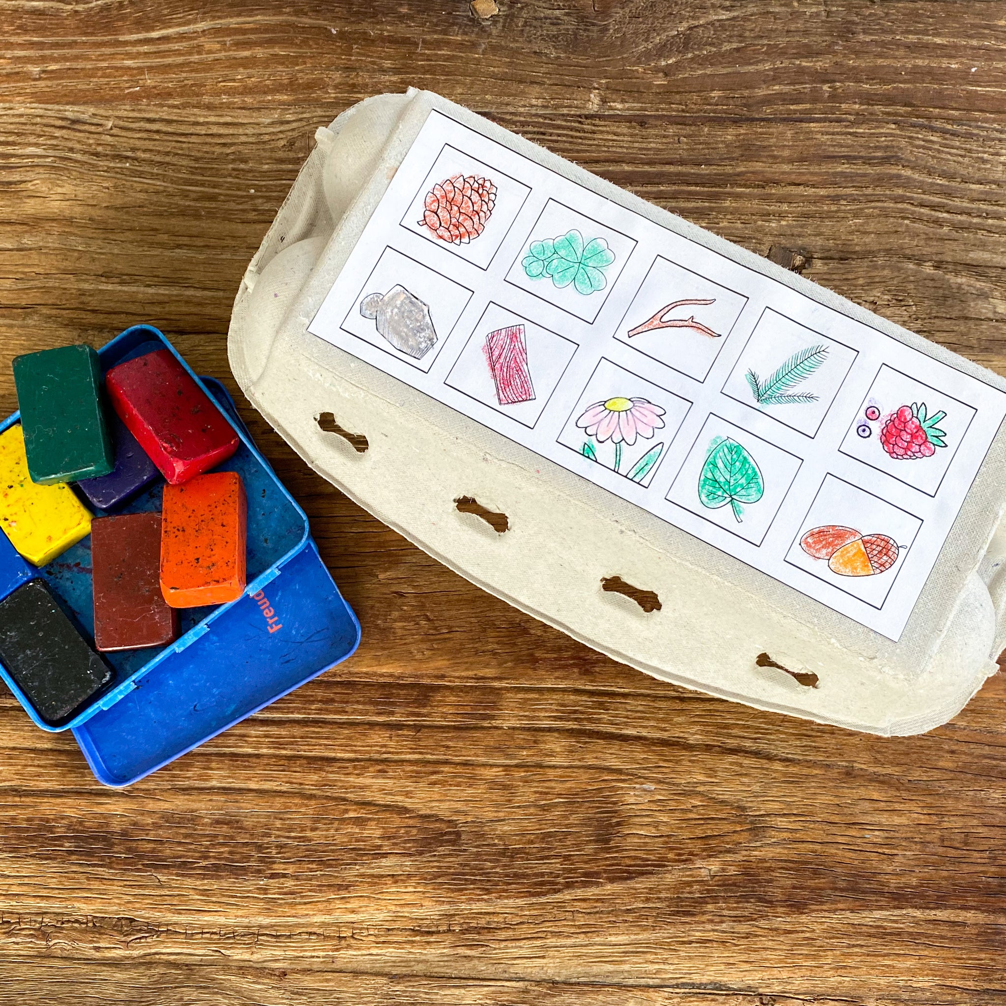 Natur Sammelbox Wald Eierkarton Vorlage Zum Ausdrucken Als PDF LillyGo Natur Sammelbox Wald Eierkarton Vorlage Zum Ausdrucken Als PDF LillyGo