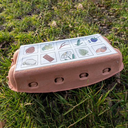 Natur Sammelbox Wald - Eierkarton Vorlage zum Ausdrucken als PDF Spielvorlagen zum Ausdrucken LillyGo 