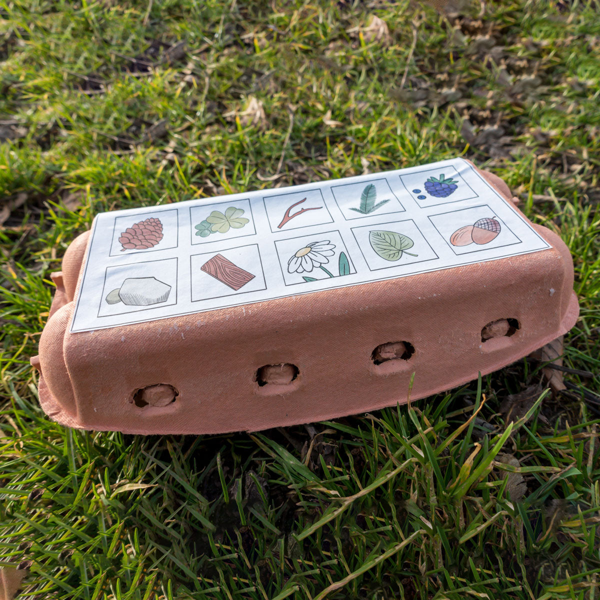 Natur Sammelbox Wald Eierkarton Vorlage Zum Ausdrucken Als PDF LillyGo Natur Sammelbox Wald Eierkarton Vorlage Zum Ausdrucken Als PDF LillyGo