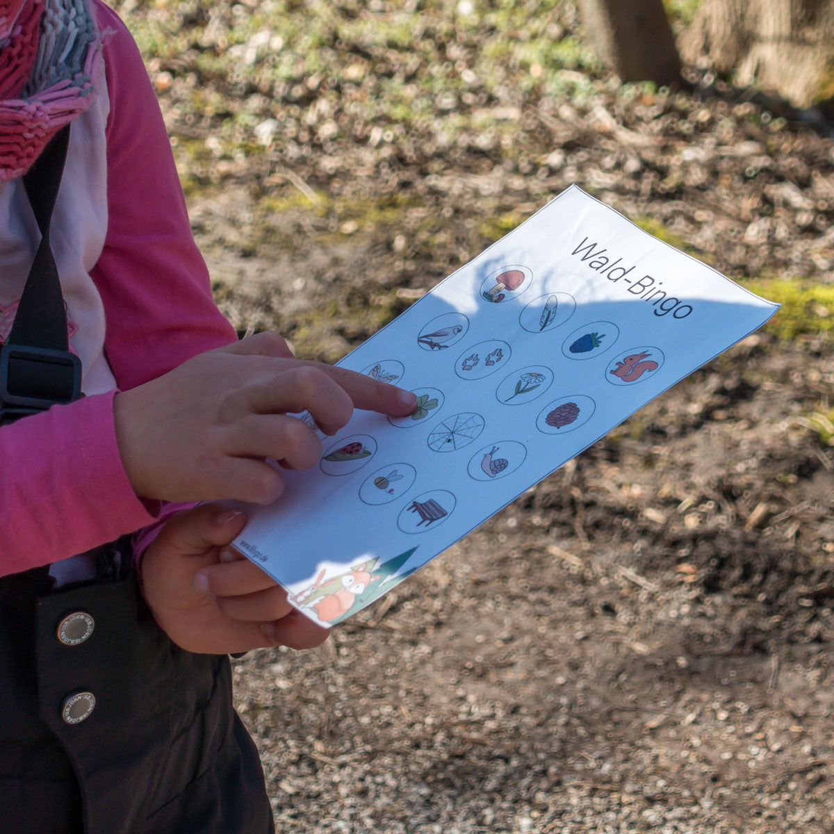 Waldbingo Vorlage download zum Ausdrucken als PDF Spielvorlagen zum Ausdrucken LillyGo 