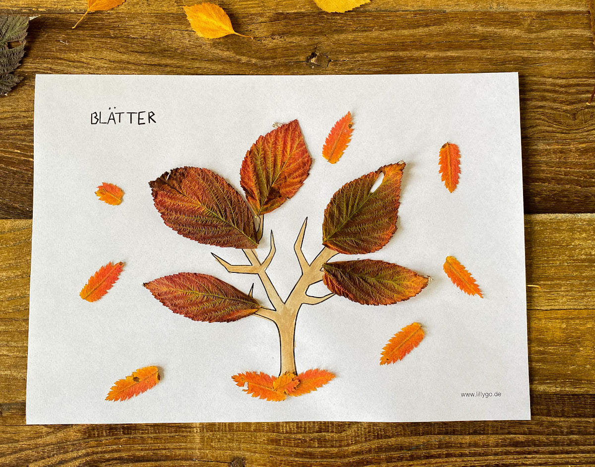 Bastelvorlage und Ausmalbild Herbst Spielvorlagen zum Ausdrucken LILLYGO 